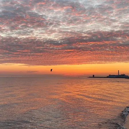 홈스테이 Alexandrinenstrasse In Warnemuende *